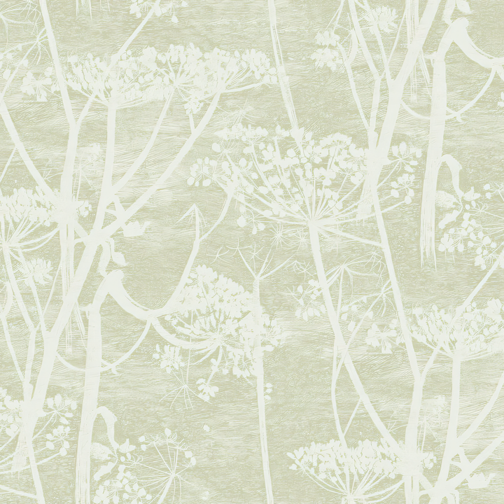 Cole & Son Cow Parsley Olive 112-8029