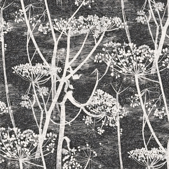 Cole & Son Cow Parsley Black-White 66-7046