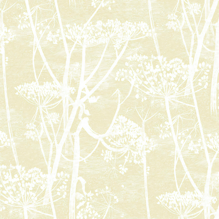 Cole & Son Cow Parsley Straw- White-Soft Yellow 95-9053