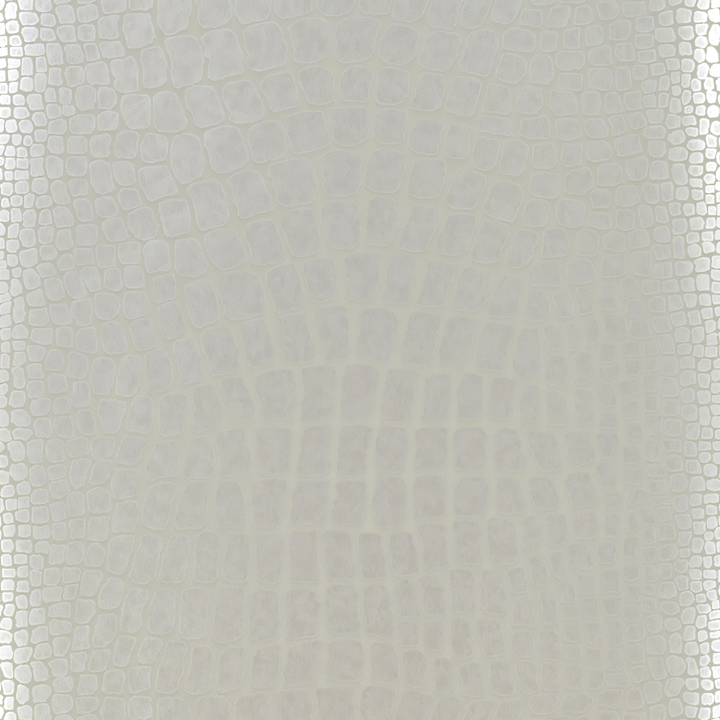 Designers Guild Nabucco Silver P539-05