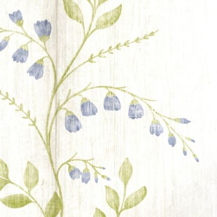 Nina Campbell Aubourn NCW4105-01