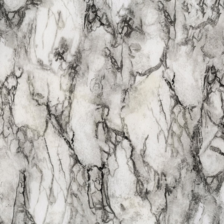 Nina Campbell Kershaw Plain Black-Ivory NCW4204-01