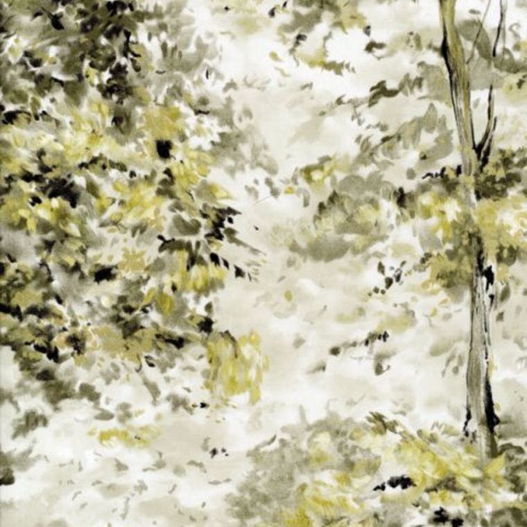 Nina Campbell Lochwood NCW4152-02