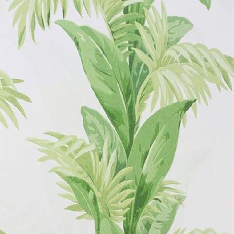 Nina Campbell Palmetto Green-Ivory NCW4274-01