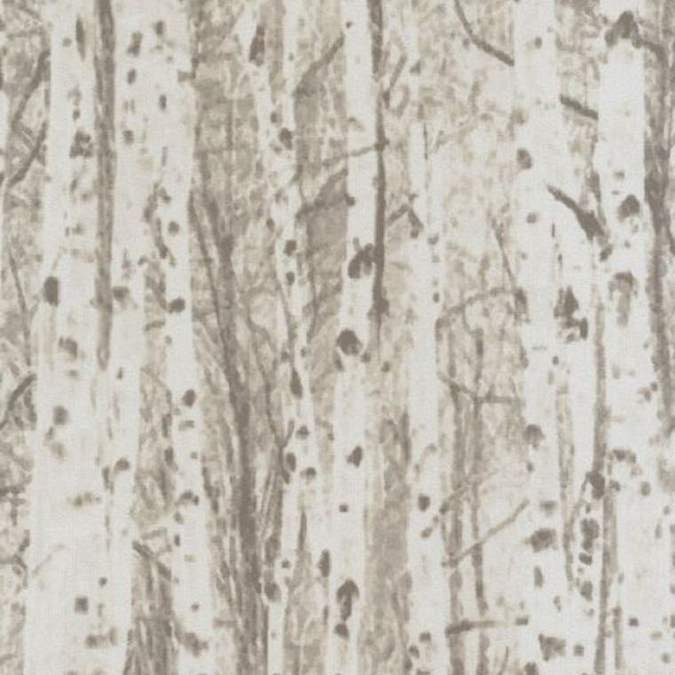 Osborne & Little Birch W6583-01