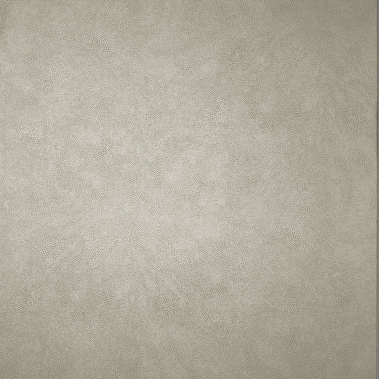 Osborne & Little Mako Taupe W6303-02