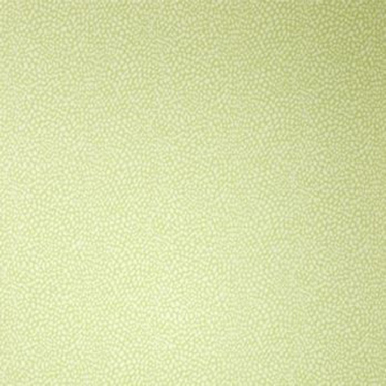 Osborne & Little Oriole Pale Lime W6491-05