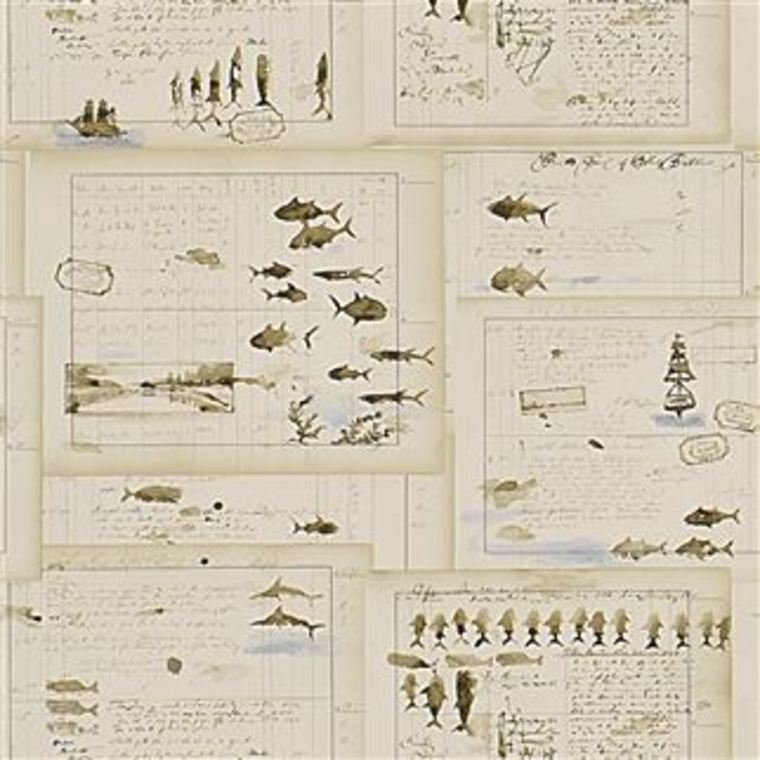 Ralph Lauren Captains Log Parchment PRL5025-02