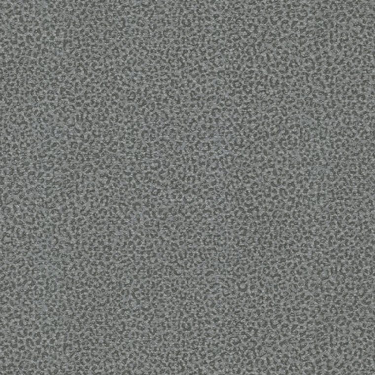 Roberto Cavalli Home No 8 RC19019