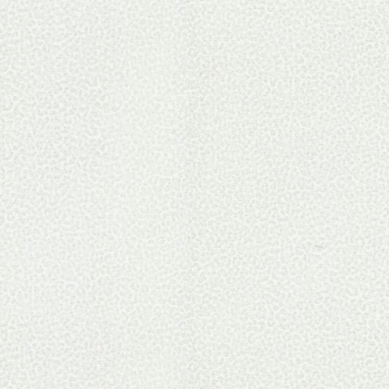 Roberto Cavalli Home No 8 RC19020