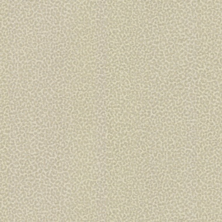 Roberto Cavalli Home No 8 RC19021