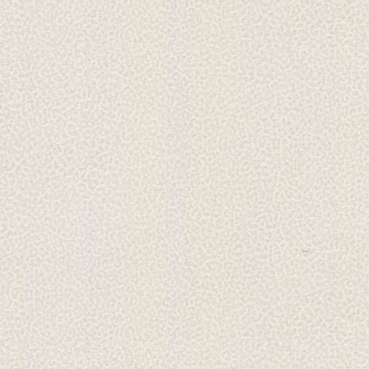 Roberto Cavalli Home No 8 RC19016