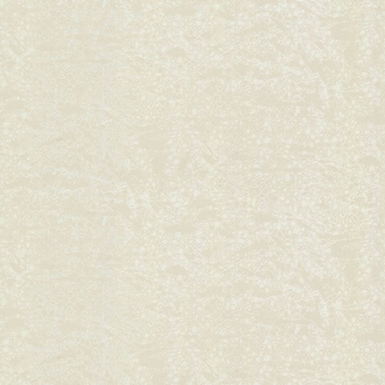 Roberto Cavalli Home No 8 RC19037