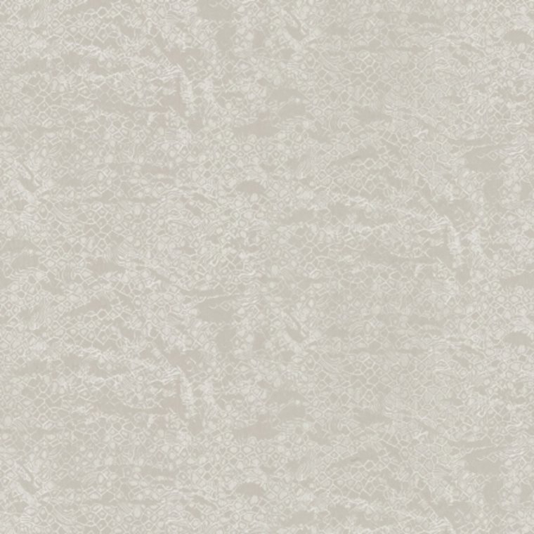 Roberto Cavalli Home No 8 RC19038