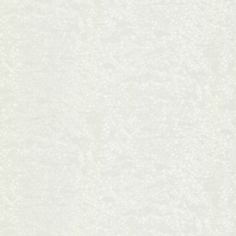 Roberto Cavalli Home No 8 RC19039