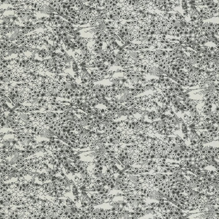 Roberto Cavalli Home No 8 RC19035