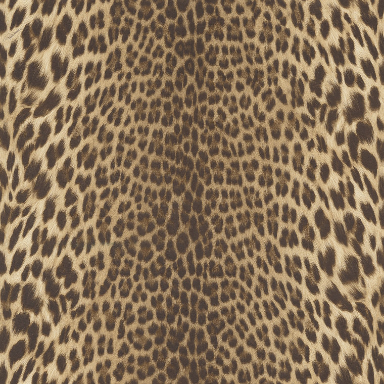 Roberto Cavalli Home No 9 RC21041