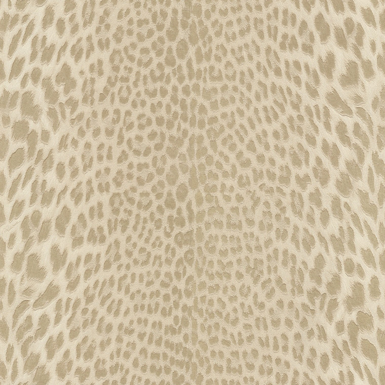 Roberto Cavalli Home No 9 RC21043