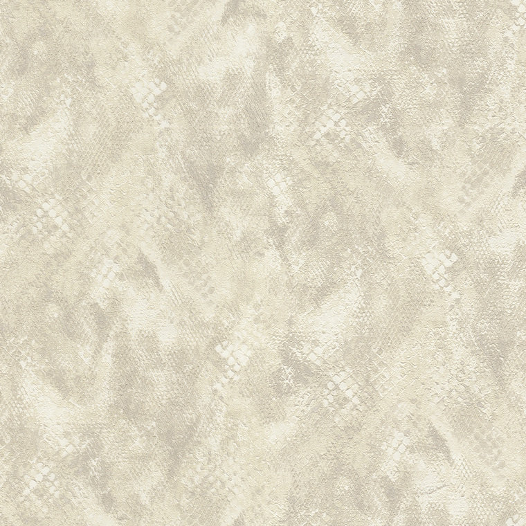 Roberto Cavalli Home No 9 RC21053