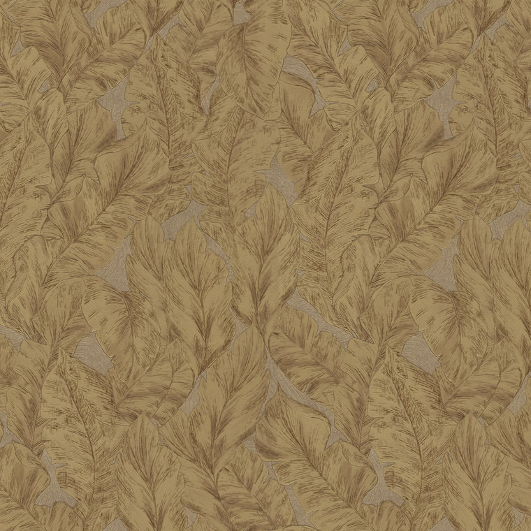 Roberto Cavalli Home No 9 RC21079