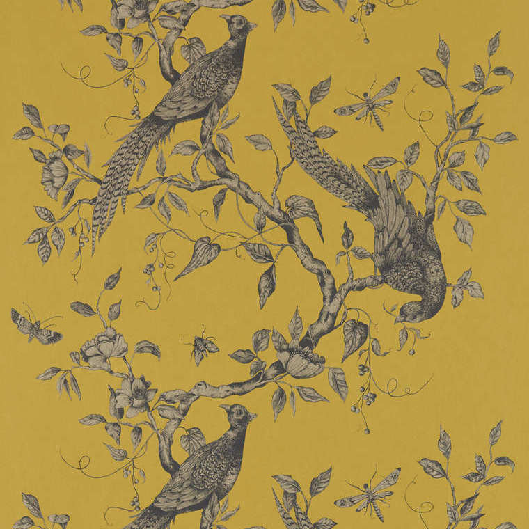 Zoffany Darnley Tigers Eye 312884