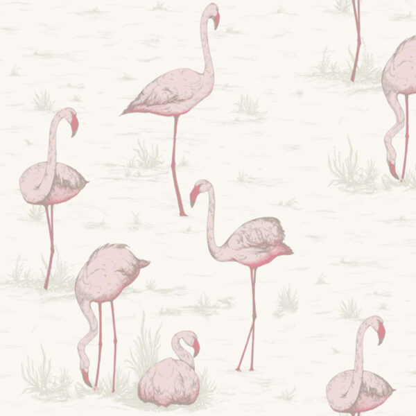 Cole & Son Flamingos White 95-8045