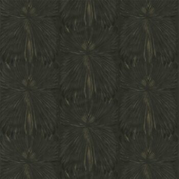 Roberto Cavalli Home No 8 RC19006